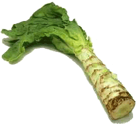 Stem lettuce